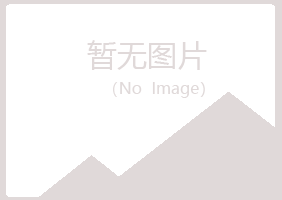 宜城山柳机械有限公司